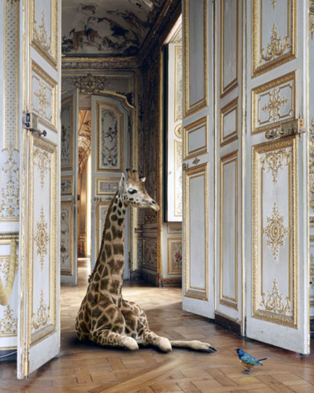 karen-knorr-francesco-catalano-2