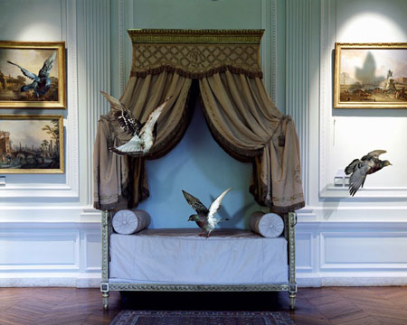 karen-knorr-francesco-catalano-4