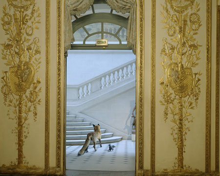 karen-knorr-francesco-catalano-5
