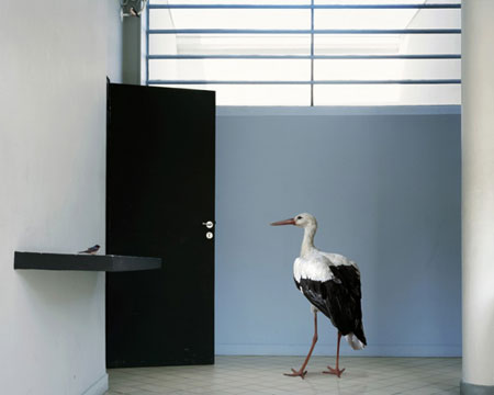 karen-knorr-francesco-catalano-7