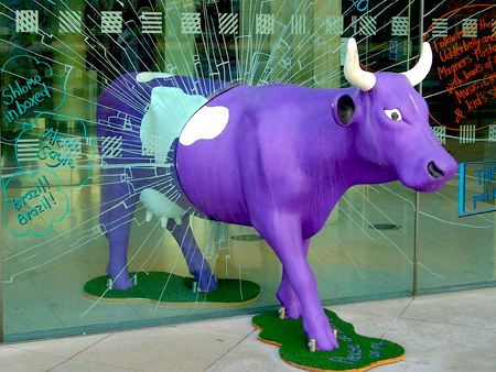 Purple Cow