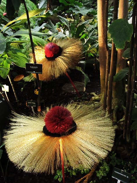 Uno scorcio della installazione Hybridations di Alexis Tricoire al Jardin des Plantes - Carefully selected by Gorgonia www.gorgonia.it