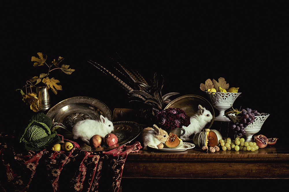 "Noblesse Oblige" ancient potraits by Francesco Catalano for Salotto Boschi www.francescocatalano.it
