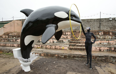 Killer whale at Banksy's Dismaland - Carefully selected by Gorgonia www.gorgonia.it