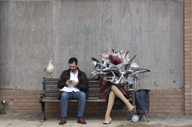 Seagull Attack at Banksy's Dismaland - Carefully selected by Gorgonia www.gorgonia.it